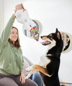 Frisco Pride Love Unicorn Plush with Rope Squeaky Dog Toy -Frisco Sales 2024 331642 PT3. SY630 V1647355918