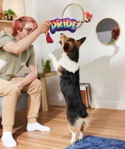 Frisco Pride Plush with Rope Squeaky Dog Toy -Frisco Sales 2024 331661 PT3. SY630 V1647356002