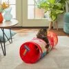Frisco Pride Tie Dye Foldable Play Tunnel Cat Toy with Catnip -Frisco Sales 2024 331680 MAIN. SY630 V1647356050