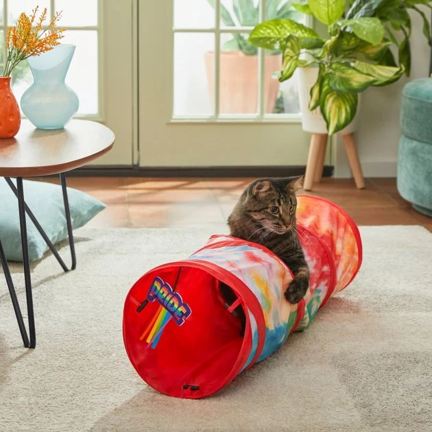 Frisco Pride Tie Dye Foldable Play Tunnel Cat Toy with Catnip 3 Frisco Pride Tie Dye Foldable Play Tunnel Cat Toy with Catnip
