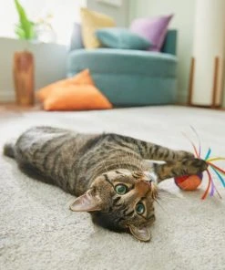 Frisco Pride Rainbow Sisal Ball Cat Toy -Frisco Sales 2024 331700 PT3. SY630 V1647355727