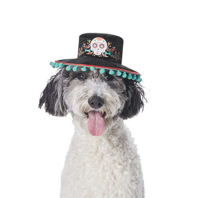 Frisco Day of the Dead Dog & Cat Hat 2 Frisco Day of the Dead Dog & Cat Hat