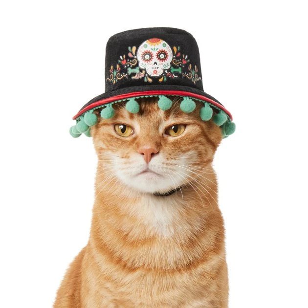 Frisco Day of the Dead Dog & Cat Hat 4 Frisco Day of the Dead Dog & Cat Hat - Image 3