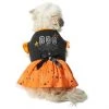 Frisco Boo Dog & Cat Dress -Frisco Sales 2024 334825 MAIN. SY630 V1658368910