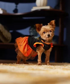 Frisco Boo Dog & Cat Dress -Frisco Sales 2024 334825 PT7. SY630 V1657722650
