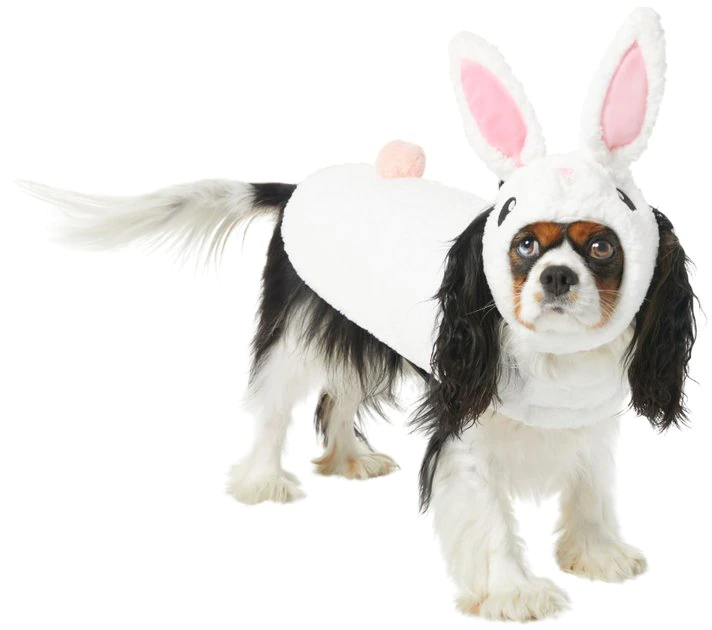 Frisco Bunny Dog & Cat Costume 3 Frisco Bunny Dog & Cat Costume