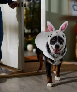 Frisco Bunny Dog & Cat Costume 14 Frisco Bunny Dog & Cat Costume -Frisco Sales 2024 334834 PT7. SY630 V1657718231