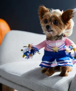 Frisco Cheerleader Dog & Cat Costume -Frisco Sales 2024 334849 PT7. SY630 V1657719482