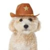 Frisco Cowboy Dog & Cat Costume Hat