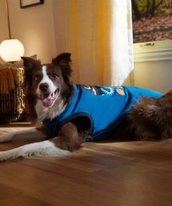 Frisco Dino Skeleton Dog & Cat T-Shirt -Frisco Sales 2024 334881 PT7. SY630 V1657718232