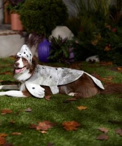 Frisco Seal Dog & Cat Costume -Frisco Sales 2024 334980 PT7. SY630 V1657731231