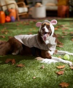 Frisco Hedgehog Dog & Cat Costume -Frisco Sales 2024 334989 PT7. SY630 V1657656881