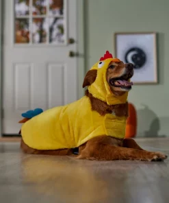 Frisco Rooster Dog & Cat Costume -Frisco Sales 2024 334997 PT7. SY630 V1657656881
