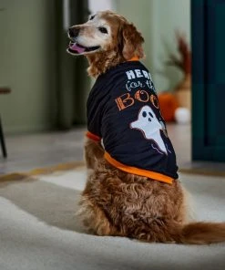 Frisco Here for the Boos Dog & Cat T-Shirt -Frisco Sales 2024 335004 PT7. SY630 V1657657478