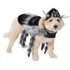 Frisco Spider Dog & Cat Costume