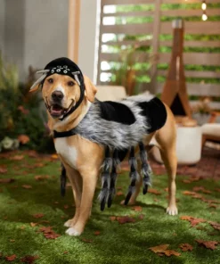 Frisco Spider Dog & Cat Costume -Frisco Sales 2024 335012 PT7. SY630 V1658150712