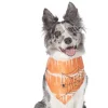 Frisco Orange Spiderweb Dog & Cat Costume Bandana -Frisco Sales 2024 335045 MAIN. SY630 V1658716393
