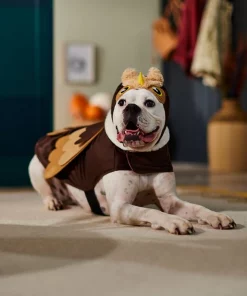 Frisco Owl Dog & Cat Costume -Frisco Sales 2024 335049 PT7. SY630 V1657718971