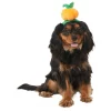 Frisco Pumpkin Headband Dog & Cat Costume Accessory -Frisco Sales 2024 335090 MAIN. SY630 V1658349060