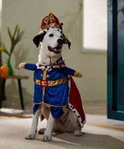 Frisco Front Walking Royal King Dog & Cat Costume -Frisco Sales 2024 335122 PT7. SY630 V1657718739