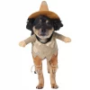 Frisco Front Walking Scarecrow Dog & Cat Costume -Frisco Sales 2024 335133 MAIN. SY630 V1658342827