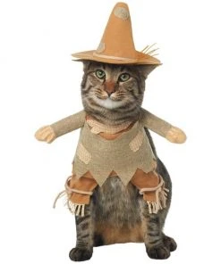Frisco Front Walking Scarecrow Dog & Cat Costume -Frisco Sales 2024 335133 PT2. SY630 V1658348508