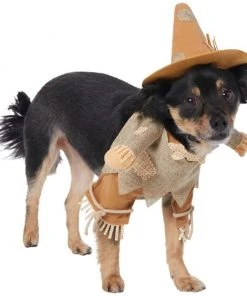 Frisco Front Walking Scarecrow Dog & Cat Costume -Frisco Sales 2024 335133 PT3. SY630 V1658349119