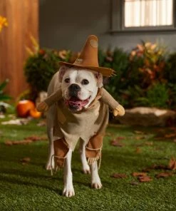 Frisco Front Walking Scarecrow Dog & Cat Costume -Frisco Sales 2024 335133 PT7. SY630 V1657658979