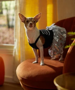 Frisco Silver Metallic Skull Dog & Cat Dress -Frisco Sales 2024 335153 PT7. SY630 V1657719483