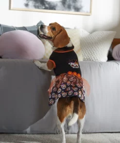 Frisco Sweet & Spooky Ruffle Skull Dog & Cat Dress -Frisco Sales 2024 335161 PT7. SY630 V1657656882