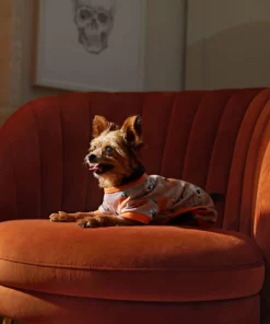 Frisco Spooky Printed Dog & Cat Jersey PJs -Frisco Sales 2024 335170 PT7. SY630 V1657730462