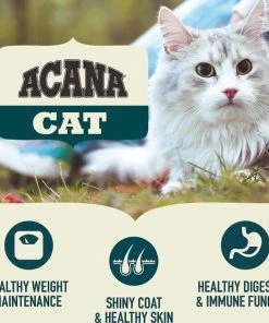 ACANA||Frisco ACANA First Feast Kitten Dry Cat Food + Frisco Multi-Cat Unscented Clumping Clay Litter -Frisco Sales 2024 338643 PT4. SY630 V1635899904