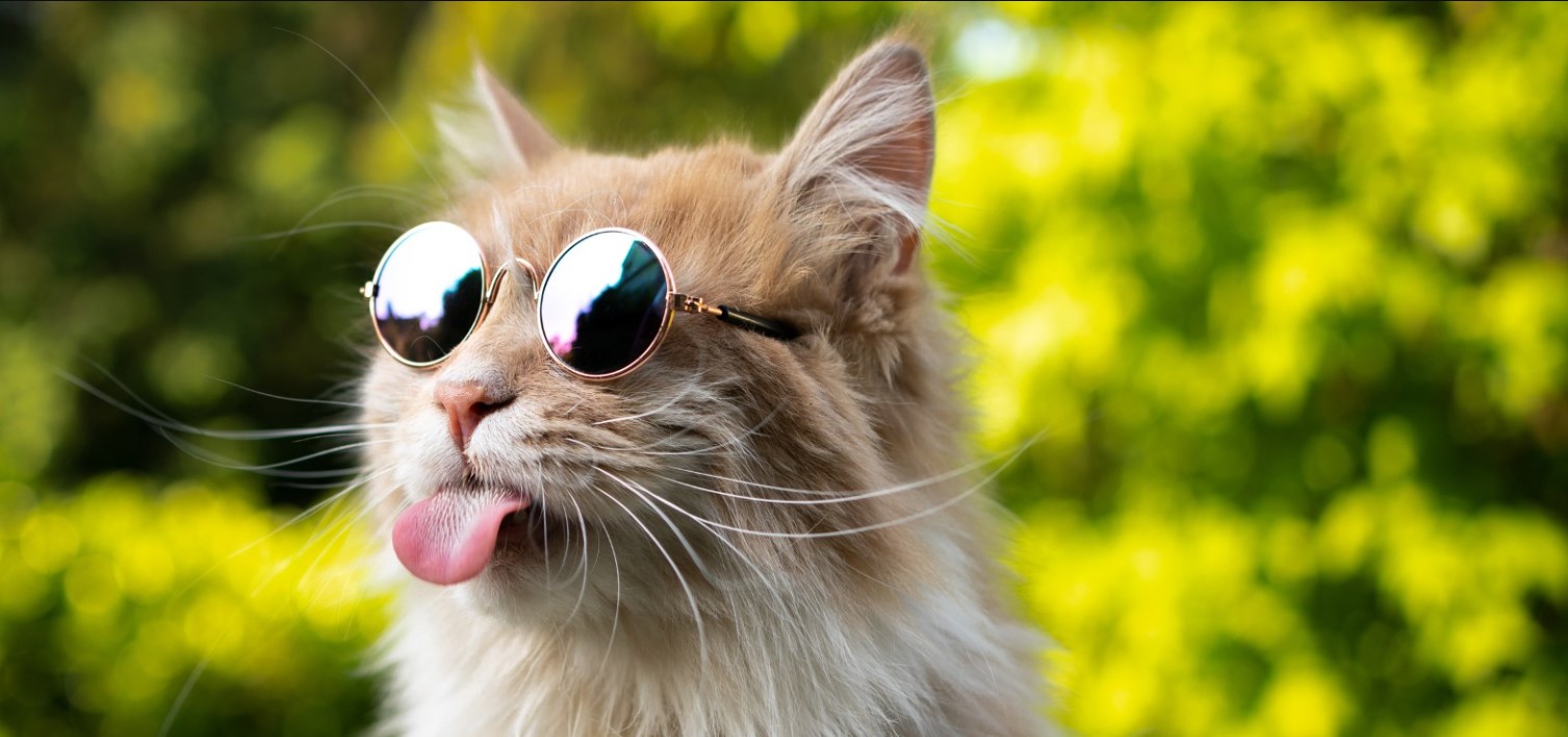 Gazebo Parts Direct Sales Store -Frisco Sales 2024 Dingtalk 20240603152230